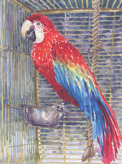 SUBURBAN MACAW 16 x 12 inch ink & watercolor painting by George C. Clark